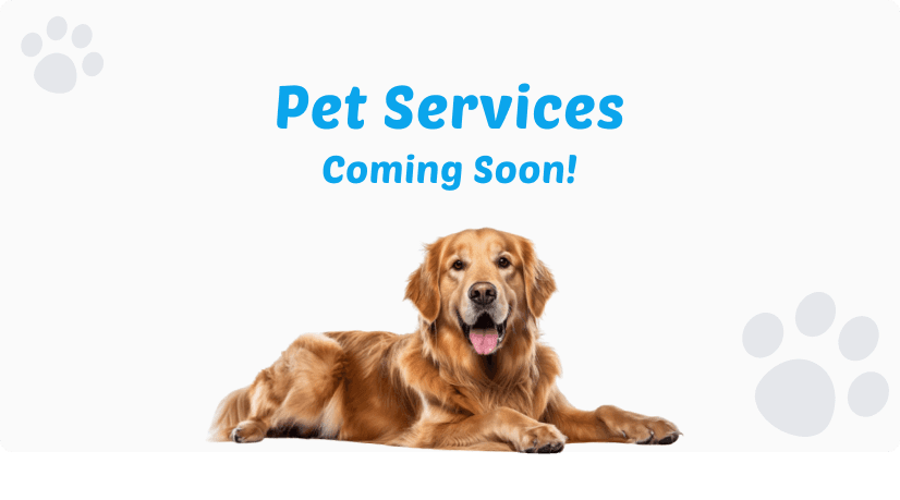 pet-products